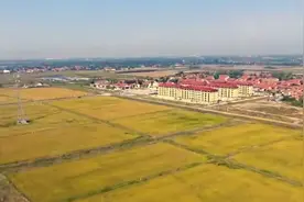 东营：耕种管收全流程无人化作业 万亩智慧稻田获丰收图片