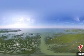 俯瞰“中国最美内海”红树林潮水中荡漾图片