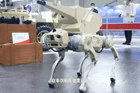 国产“机器狗”来了！多款新型无人装备首次亮相航展图片