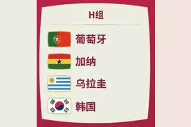 追光丨世界杯攻略·H组——不是冤家不聚头？图片
