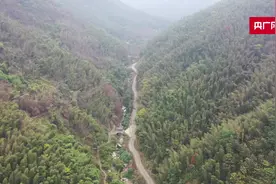 江西芦溪：层林尽染美如画图片