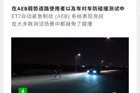 中国电动车俘获欧洲市场图片