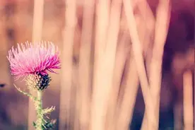 夜雨丨冉烨：有一种感情叫“发小”图片