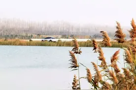 大沙河（焦作城区段）入选首批省级美丽河湖优秀案例图片