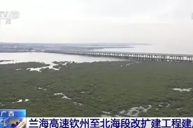 广西兰海高速钦州至北海段改扩建工程建成通车图片