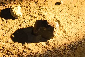 “火流星”陨石碎块坠落金华浦江 相关部门已进行保护图片