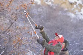 如何用年轻人喜爱的方式，倡导绿色低碳生活方式？蚂蚁森林这样做图片