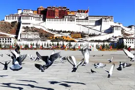 布达拉宫1月3日起恢复对外开放，3月15日前实行免费参观图片