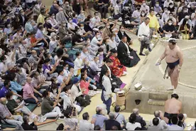 美媒：日本相扑，扑不灭暴力欺凌图片