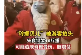 “玲娜贝儿”被游客拍头，可能造成脊椎受伤、脑震荡图片