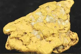 触摸地球脉动 感受生命变迁图片