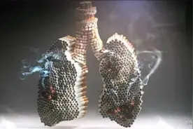 宝山疾控话健康图片