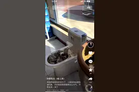 辽阳大哥解读“节约型爸妈”：妈妈捡人家不要的马桶，做善事却舍得花钱图片