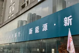 小县城新能源汽车春节观察：15万左右最好卖，混动比纯电更受欢迎图片