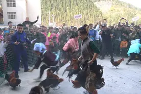 贵州一乡镇举行女子“抓鸡比赛”，拍摄者：完整项目包括选黄豆、挑扁担、抓鸡、插秧图片