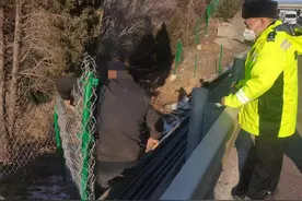 老人高速公路捡木柴 民警耐心劝离保安全图片