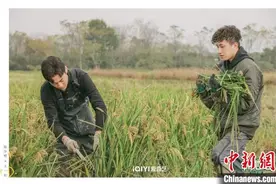 回归真实田园   劳作互动纪实综艺《种地吧》见证乡土传承图片