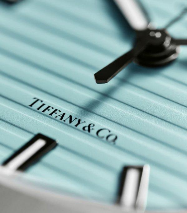 �����ϣ�����󡱵�10ֻ��������ʿ��������