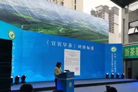 多年为他人做嫁衣的川茶，问题出在哪儿？图片