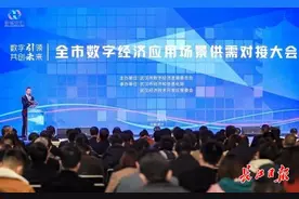 武汉发布今年首批30个智慧城市应用场景图片