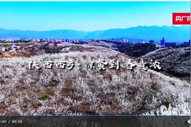 春日里的中国丨陕西西乡：万亩樱桃开 特色产业助力乡村变富变美图片
