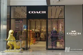 从Coach开始 奢侈品做起了“官翻包”生意图片