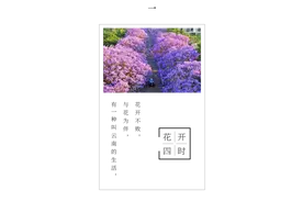 有一种叫云南的生活丨世界花园彩云南图片