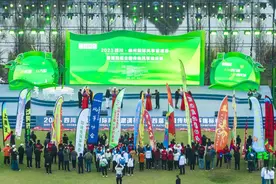 又是一年好春光 这场风筝盛会在成都崇州举行图片