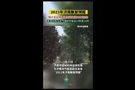 2023年济南飘絮预报，预计毛白杨飘絮时间持续20天左右图片