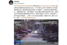 6岁男孩划伤宝马车家长拒赔 法院这样判图片