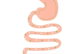 这几种胃部检查到底有啥用？图片