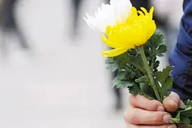 清明·怀念|天国里的风筝图片