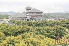 用心酿造“甜蜜产业”图片