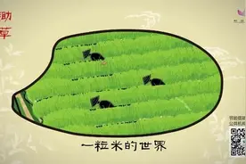 一粒米的艰辛，每个人都应知道图片