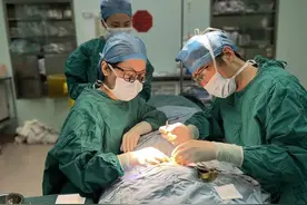 医疗帮扶助力沪藏情谊，杨浦医护人员为藏族女孩“雕刻”未来图片