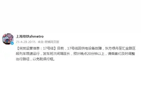 上海地铁：17号线因供电设备故障，东方绿舟至汇金路区段列车限速运行图片