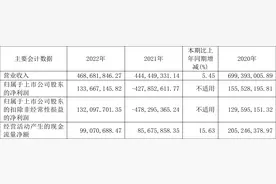国新文化：2022年盈利1.34亿元 拟10派1元图片