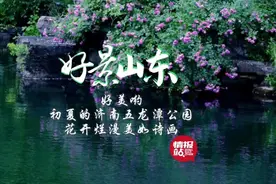 果然视频·好景山东|初夏的济南五龙潭公园，花开烂漫美如诗画！图片