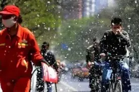 危险危险危险! 当心成都空气中这种东西图片