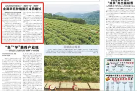 高标准农田建设让“三跑田”变“三保田” 金洞早稻种植面积成倍增长图片