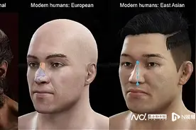 DNA揭秘：高鼻子是早已灭绝的古人类尼安德特人的遗传特征图片