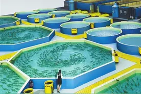 冻硬的金鱼入水后又活了！跟随记者一起领略渔博会里的海洋高科技图片