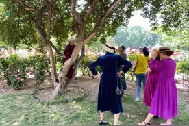 不文明行为曝光台丨赏花勿“伤”花 别让美景成为“最后一次”图片