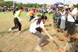 多图｜挑担、捉鸭、摸鱼……茶山镇乡村趣味运动会欢乐上演图片