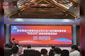 系统集成改革赋能沂源老区高质量发展图片