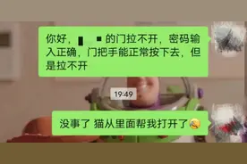 门锁坏了，宠物猫从里面帮主人开门，是运气还是真聪明？图片