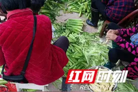 慈利县杉木桥镇：地里玉米笋 桌上“小金条”图片