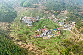 浙江茶乡旅游线路推荐之衢州开化龙顶探源 寻“遗”之旅图片