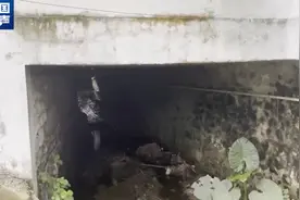 一瓶“能量水”1500元，背后套路有多深？图片