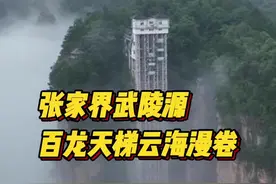 张家界武陵源：百龙天梯云海漫卷图片